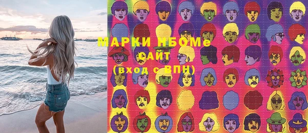 стафф Ельня