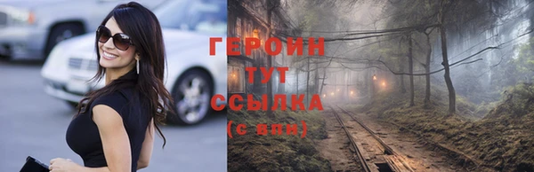 гидра Елизово