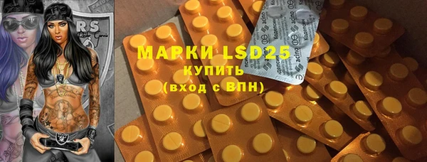 стафф Ельня