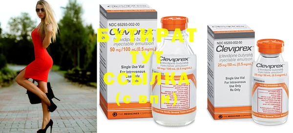 гидра Елизово