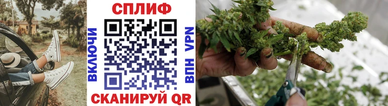 Купить закладки  Таганрог  Бошки марихуана семена 